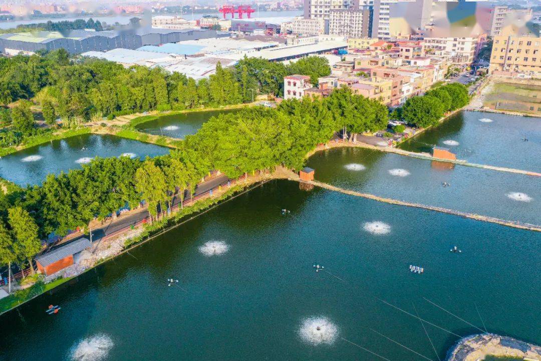 沙头北村颜值出圈,看看实力有多强_休闲_九江镇_一公园