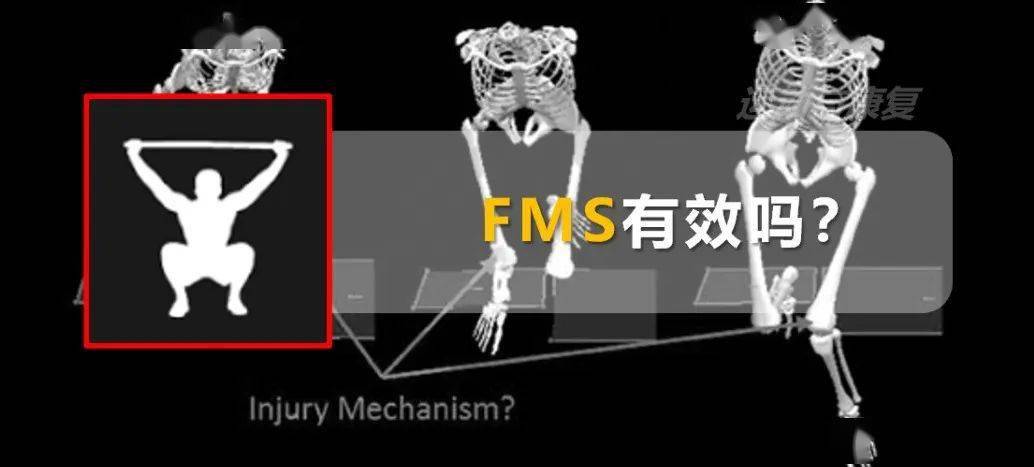 FMS]功能性动作筛查—能有效预测未来伤害吗？_手机搜狐网
