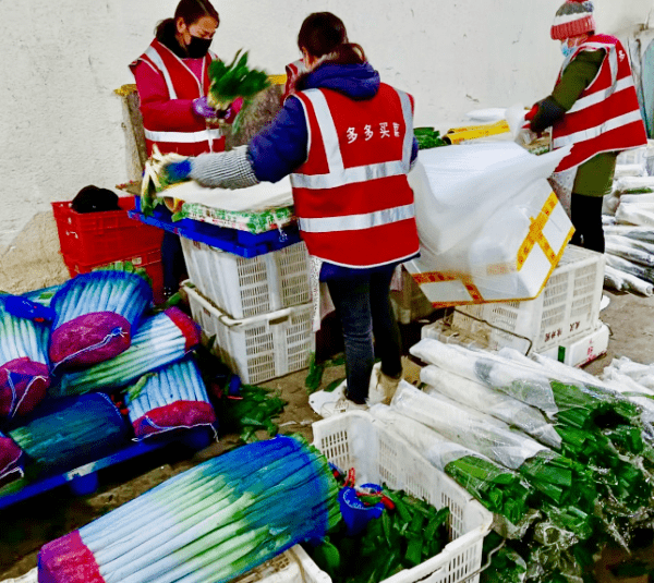 拼多多启动爱心助农"暖冬行动",拼多多及旗下多多买菜推出四大举措