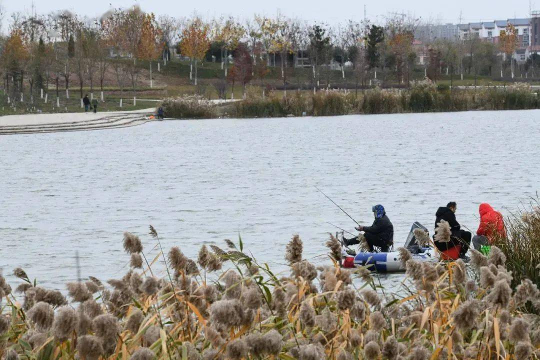 不仅仅是沙颍河沿岸,项城市中心城区的变化同样日新月异.