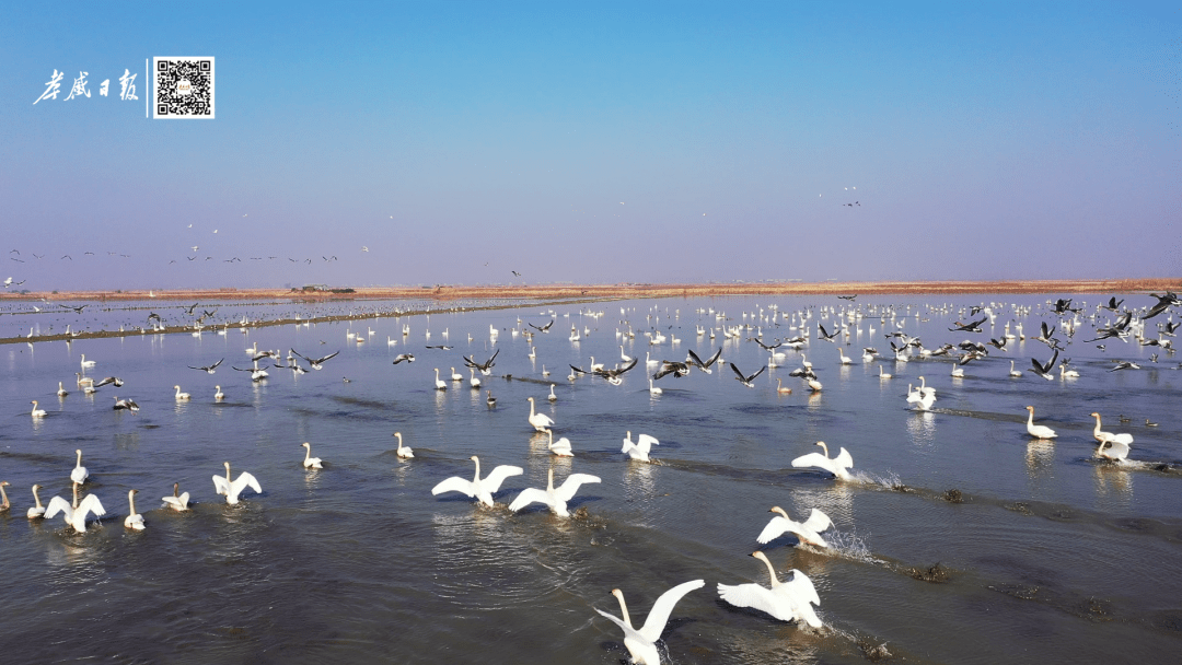 汈汊湖湿地公园图片