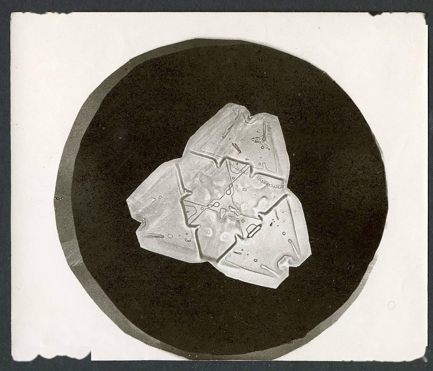 wilson bentley一生回顾_本特利_冰晶_理查森