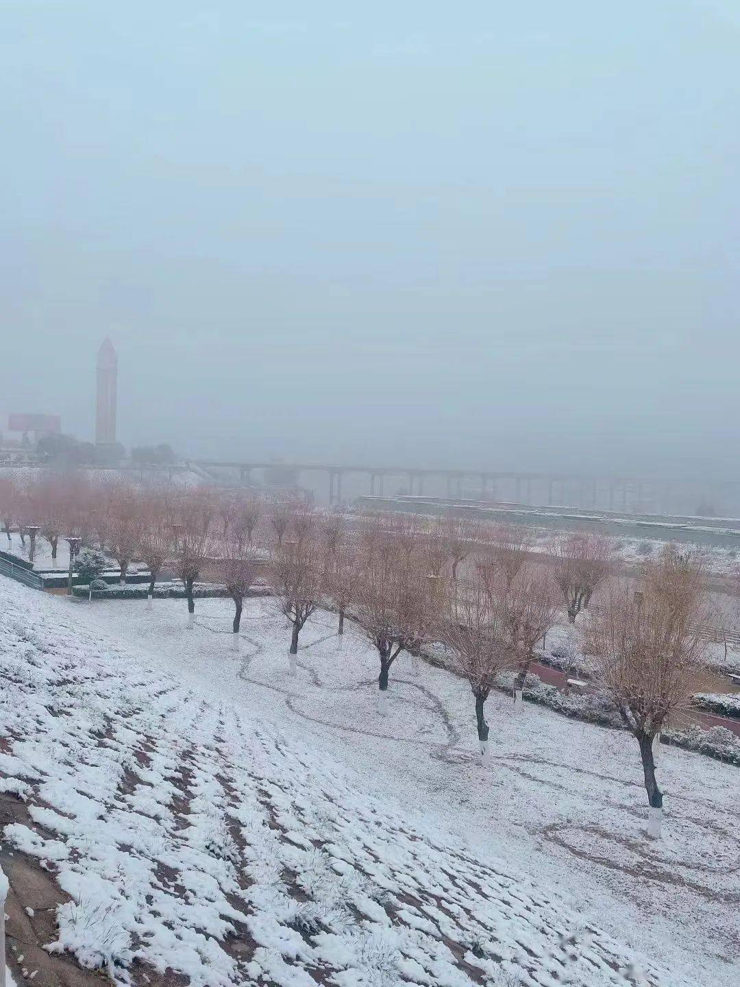 愿昨日唐河的那场雪，掩埋疫情所有的陈迹......