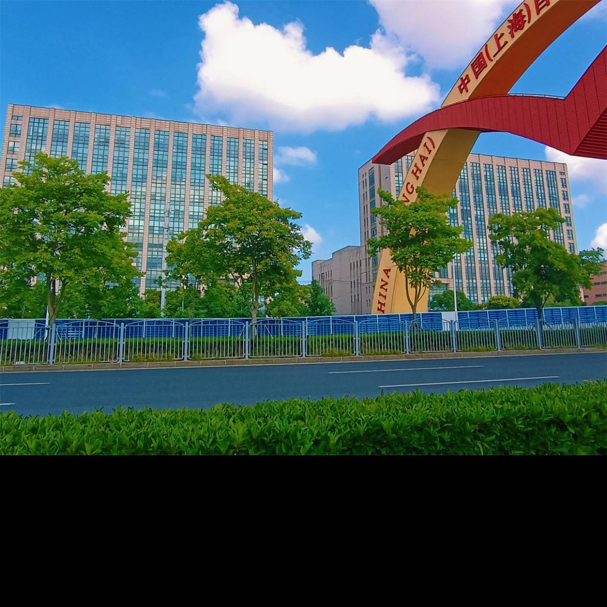 中国(上海)自由贸易试验区概况_外高桥保税区_片区