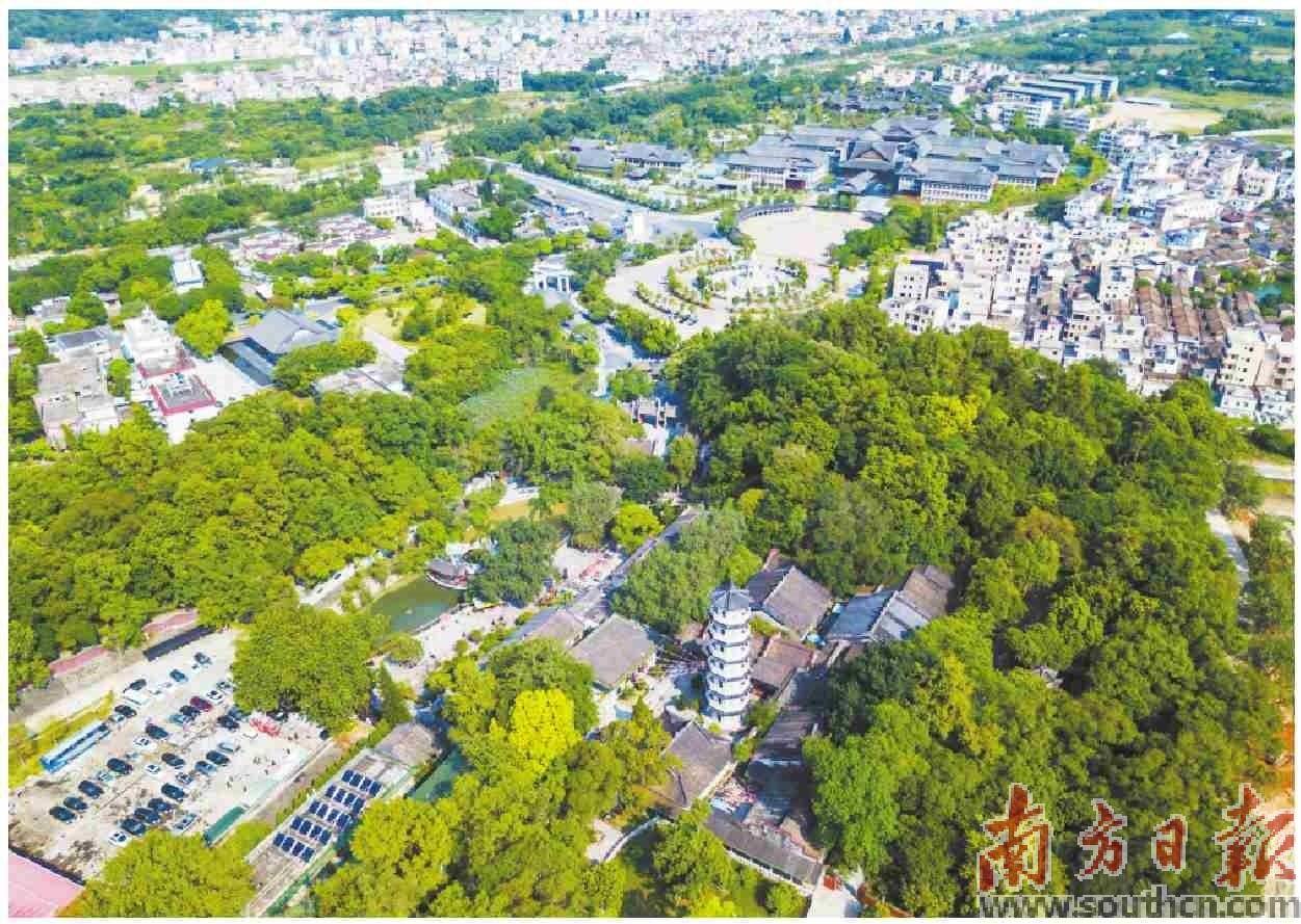 云浮新兴 产业集群“换道超车” 县域经济“加速提升”_发展_党建_工作