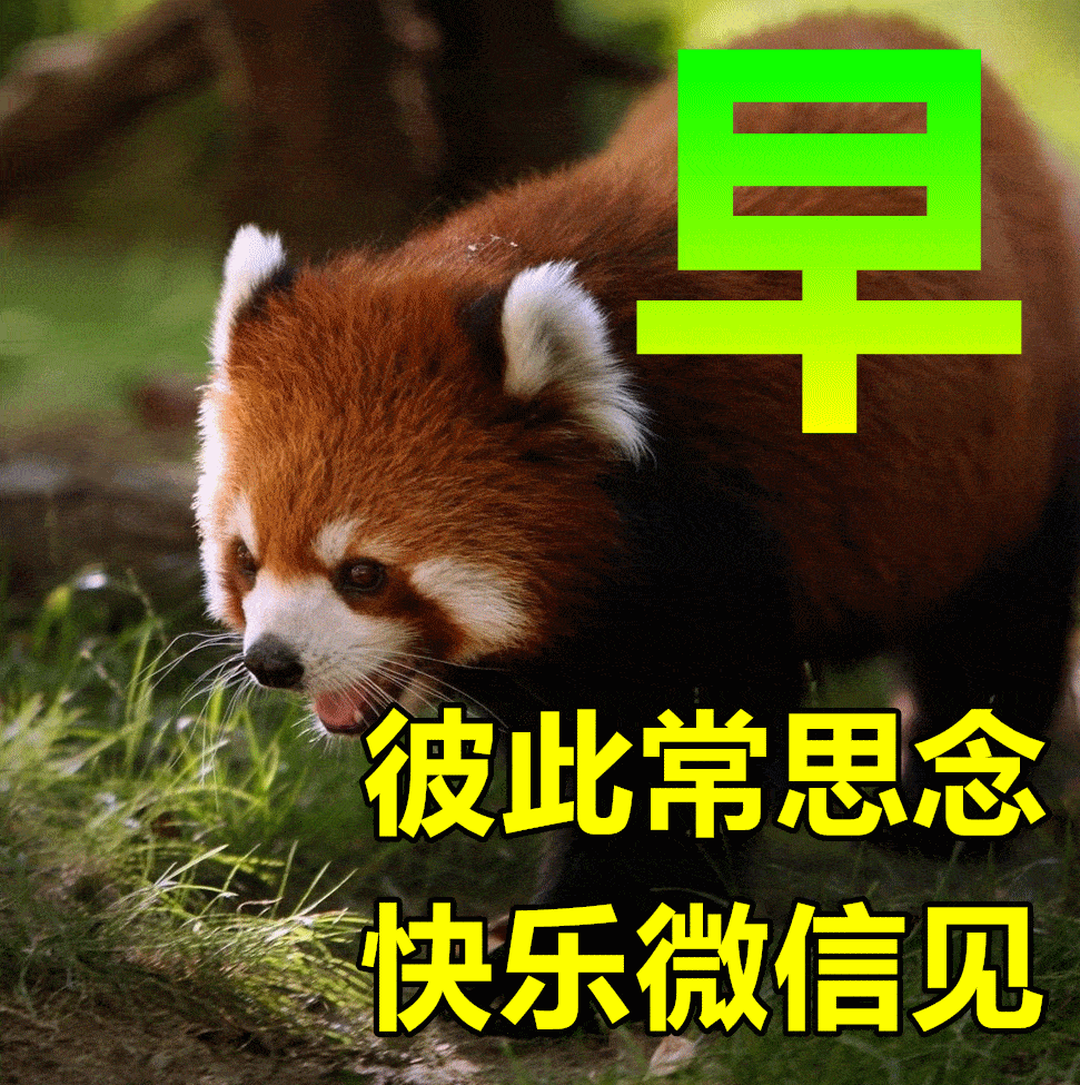 676712月27日冬日早上好动态表情图片及早晨好动图美图大全 年