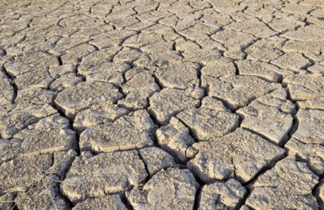 其中《中国西北干旱区水资源与生态环境研究报告》(以下简称报告)称