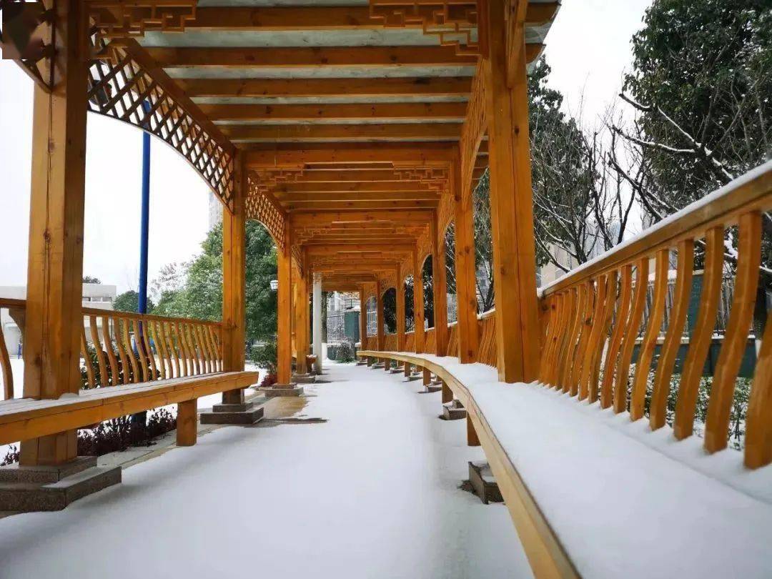 贵阳学子 同学们快看,雪后的学校,真美!_校园_雪景_冬雪