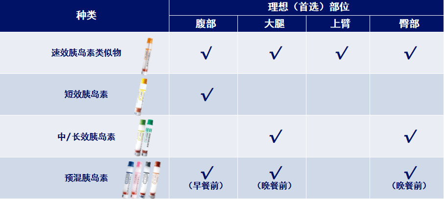 胰岛素部位图轮换图片