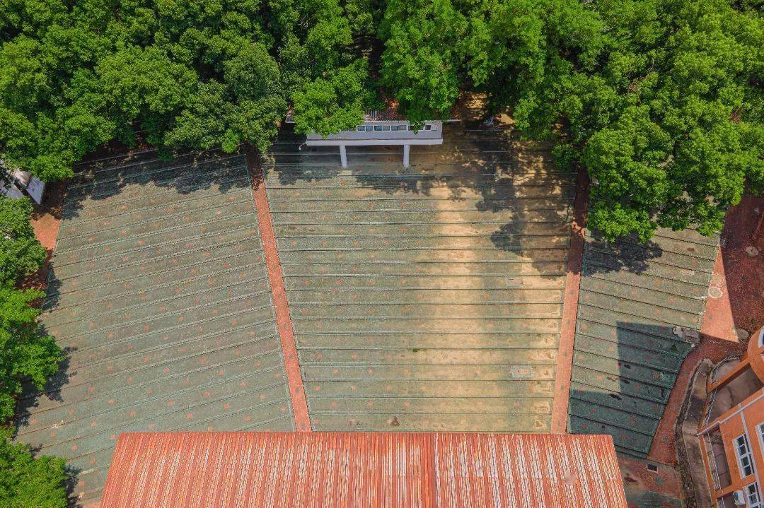 "2022年,我在华师见过最美的日出日落."_桂子山_朝阳_落日