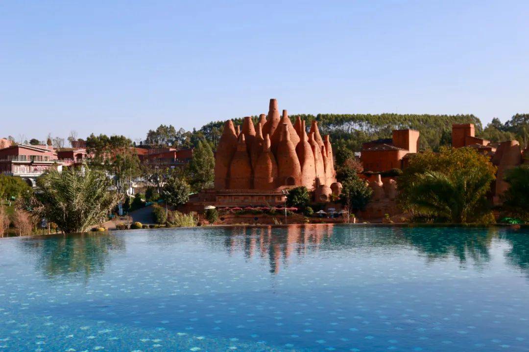 连线弥勒(一):当葡萄酒产业可尝,可玩,可学_种植_东风农场_玫瑰