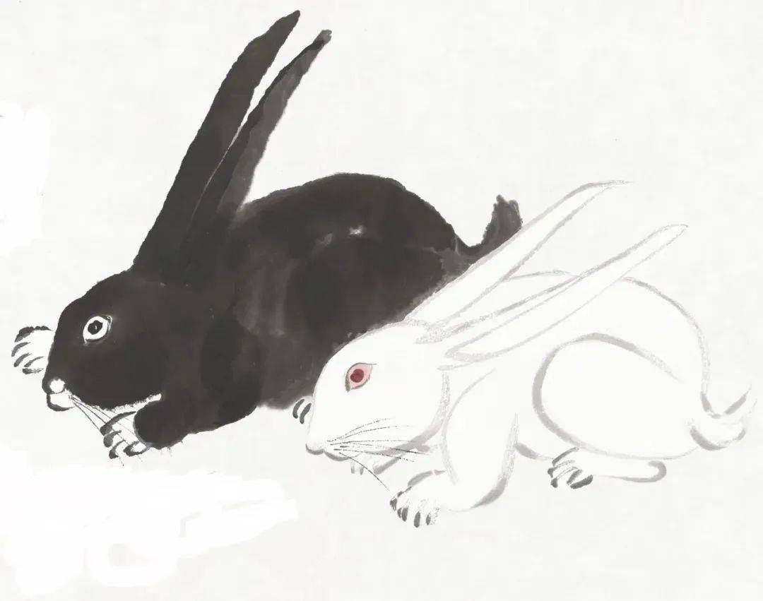 玉兔_画册_刁光胤