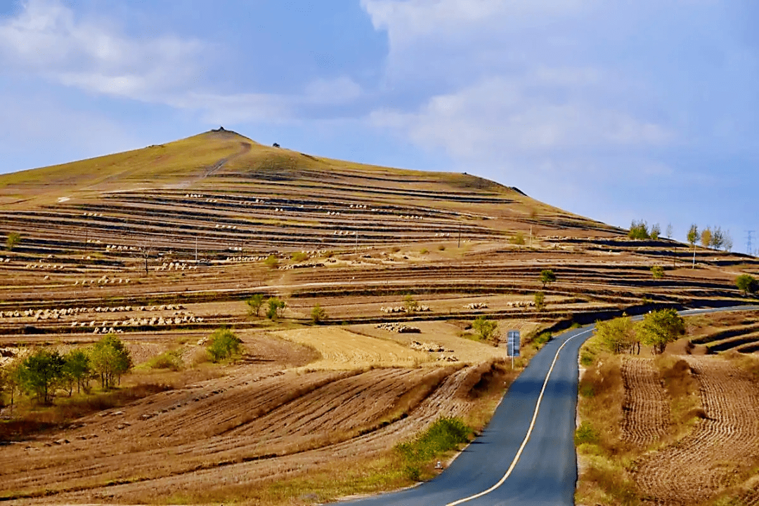 张北草原天路:四时之景各不同._公路_风景_微观
