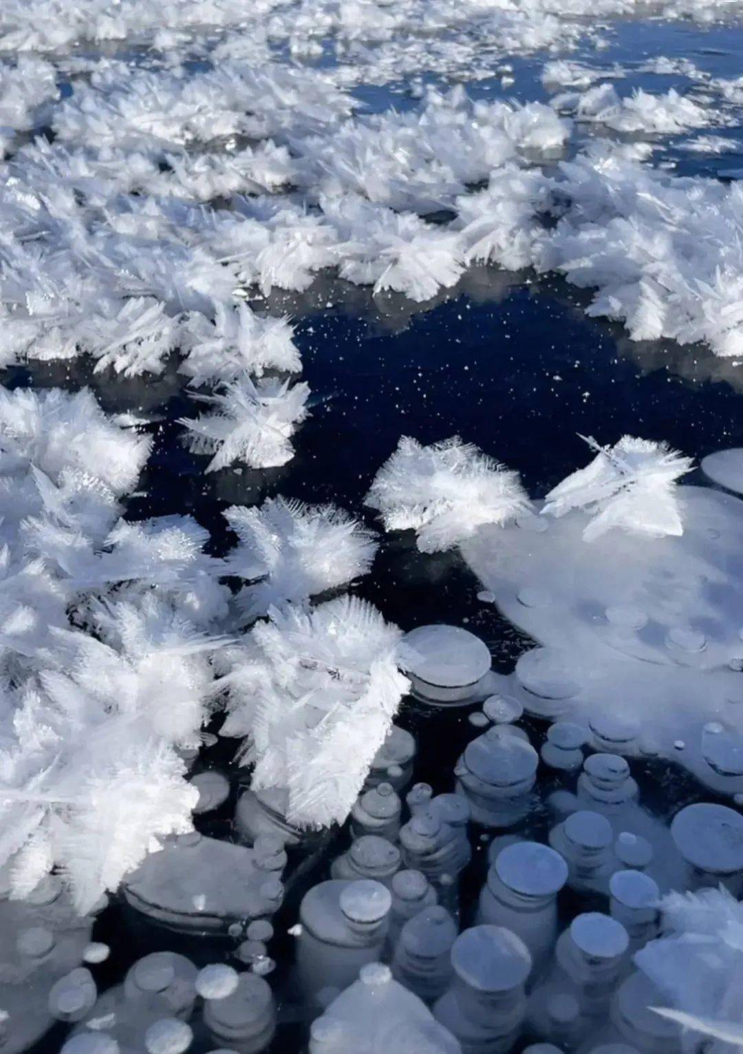 赛里木湖的蓝冰,冰泡,冰推_冰块_湖面_天空
