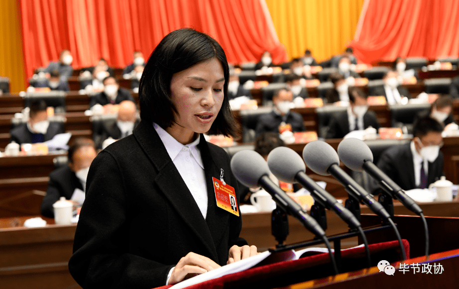 毕节市政协三届二次会议举行第二次全体会议 听取大会发言_建议_题目