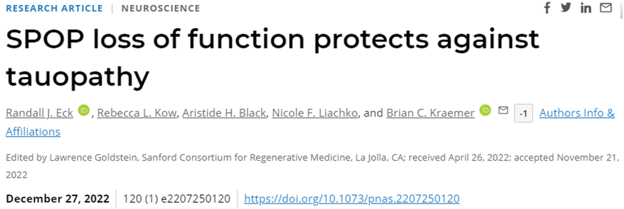 PNAS：靶向SPOP蛋白有望阻止包括阿尔茨海默病在内的tau蛋白病