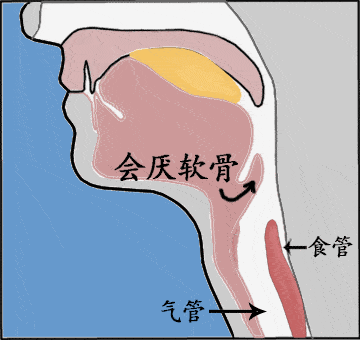 降低留置胃管的不舒适,这几种技巧特别有效~_患者_操作_护理
