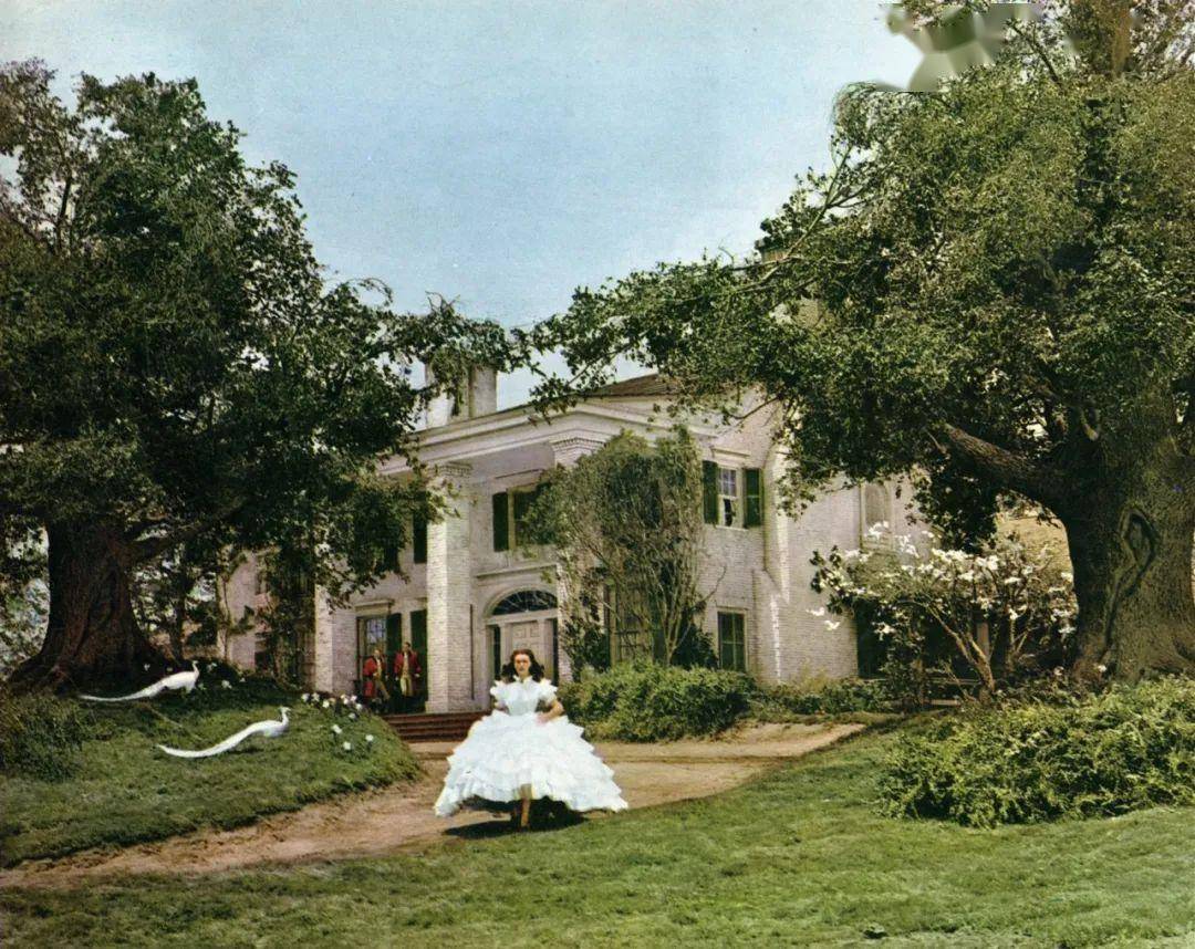 《飘》:所有经历过的苦,都是你未来的资本