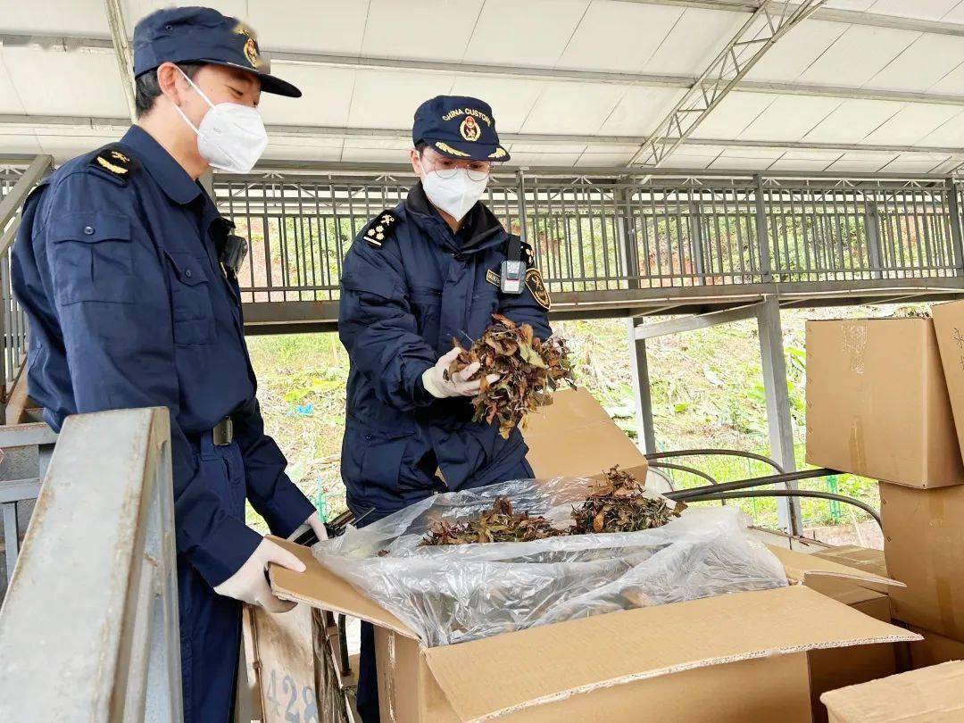 河口海关关员刘渊在北山联检大楼为企业签发原产地证书1月1日9点30分