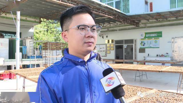 阳西红光村:蚝豉飘香正当时_程村镇_价格_广播