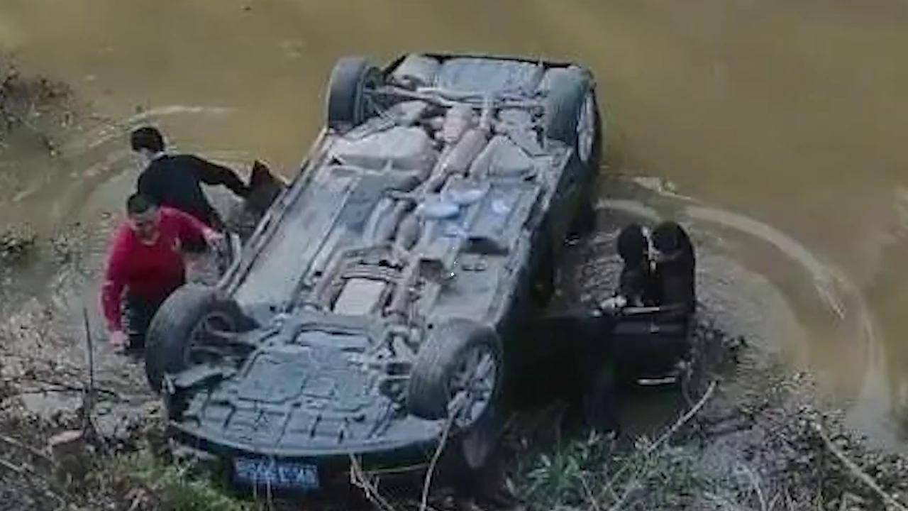 轿车侧翻进池塘内,茂名监狱民警跳进水里勇救5人_张亚莉_敖银雪_南都