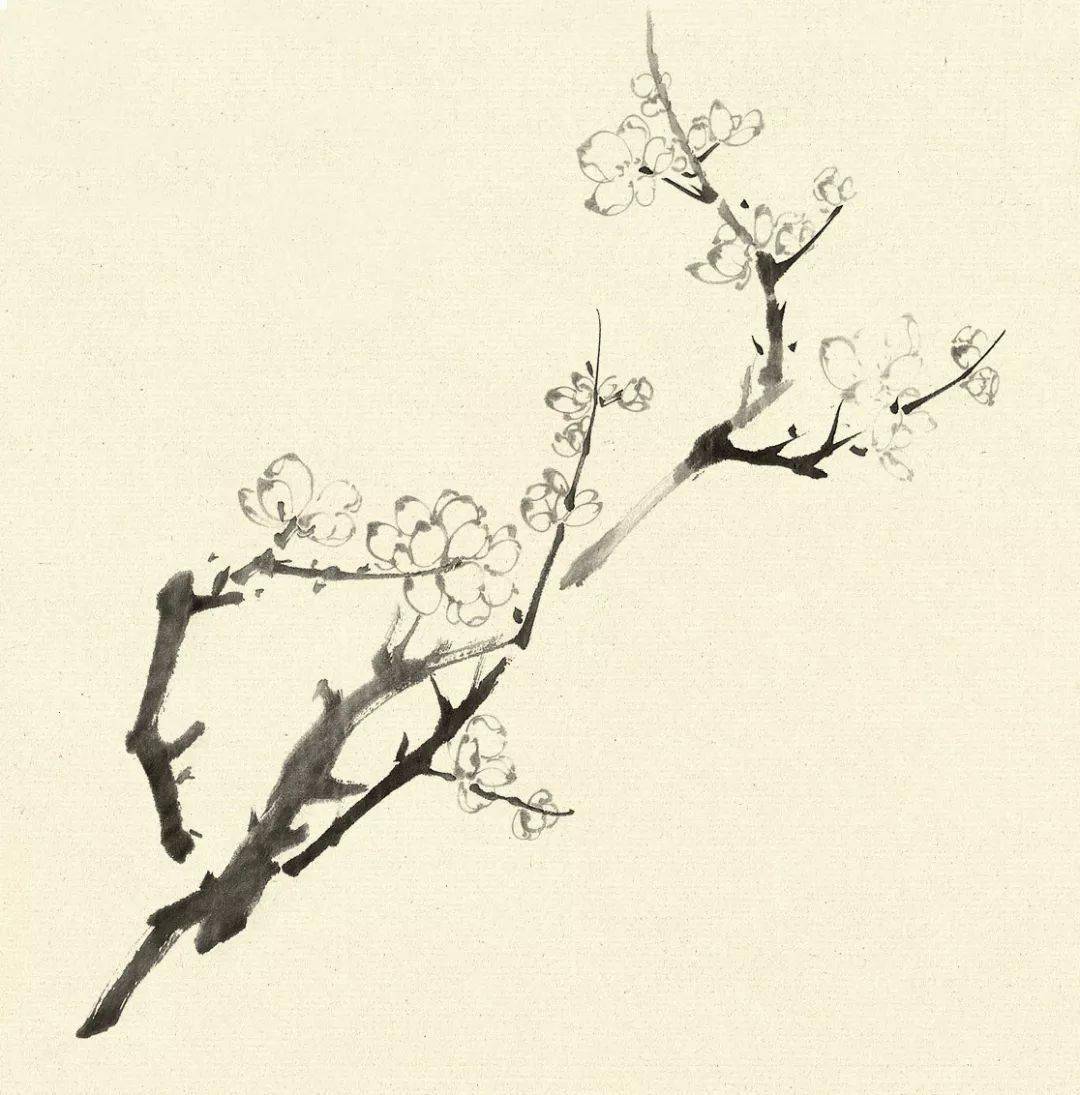 【国画教程】水墨梅花作画步骤_花瓣_花蕊_画法