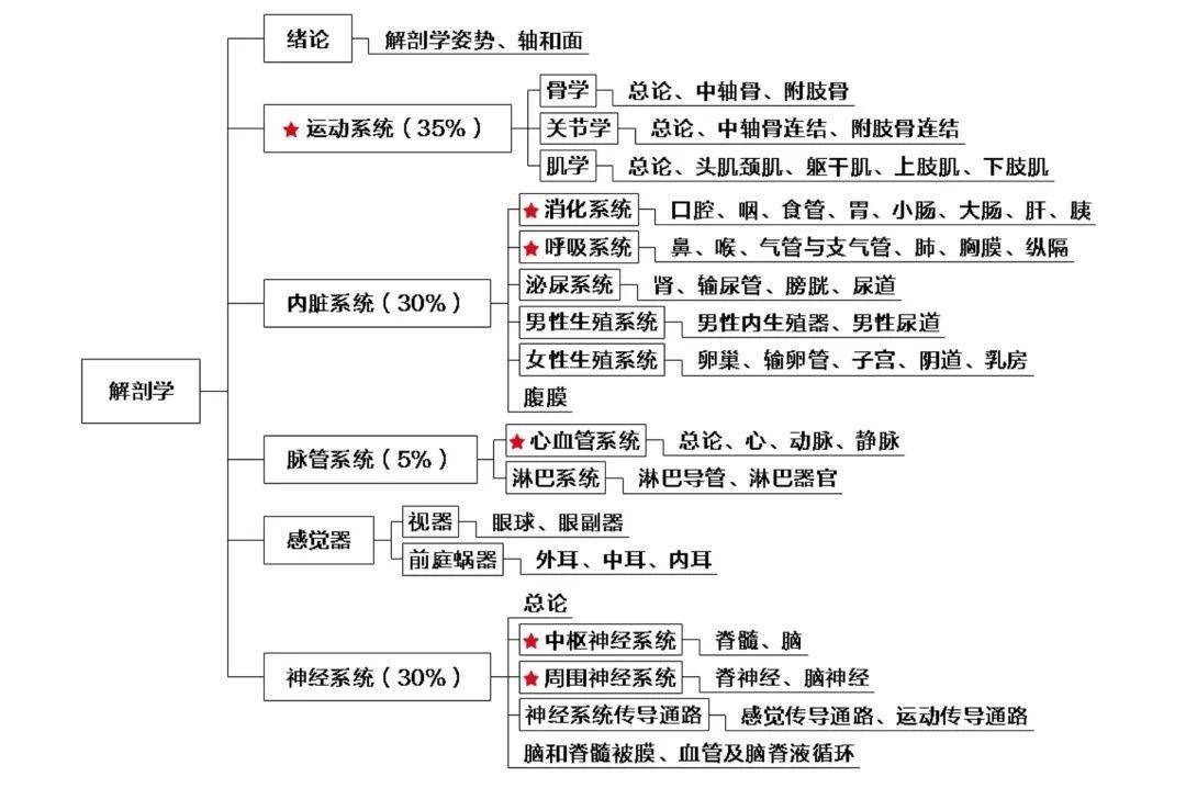 肌组织思维导图图片