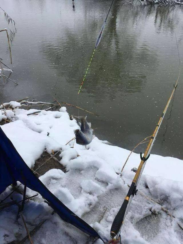 南方冬季钓鱼的五个要点！
