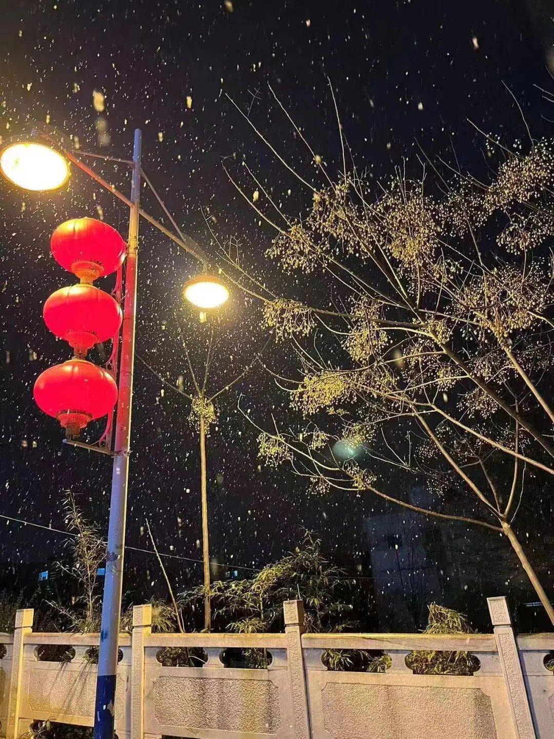 河南开封跟着河宝一起看全国各地的雪景吧~又是一年雪季路灯下的雪