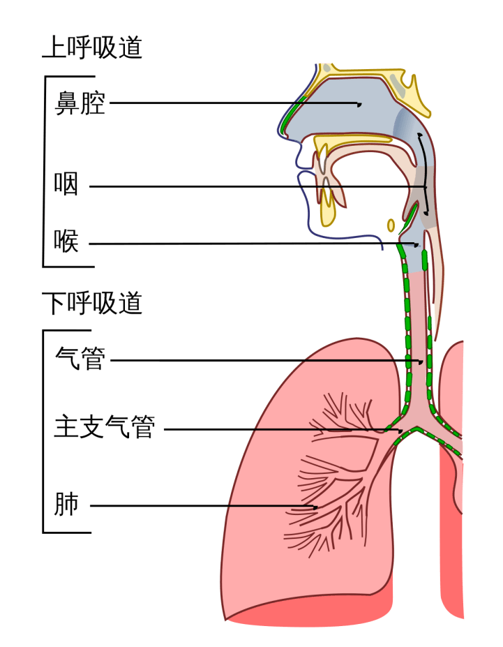 用药提醒→