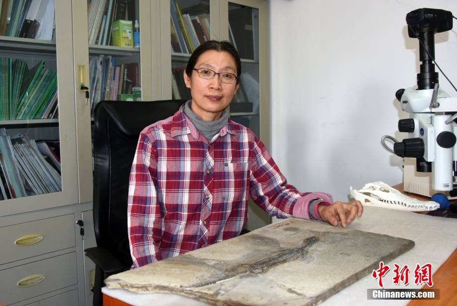 资料图为论文通讯作者尚庆华研究员介绍奇异罗平龙化石正型标本.