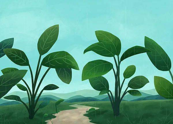 在 ecology 上发表的研究成果,证实植物群落中的稀释效应存在小尺度较