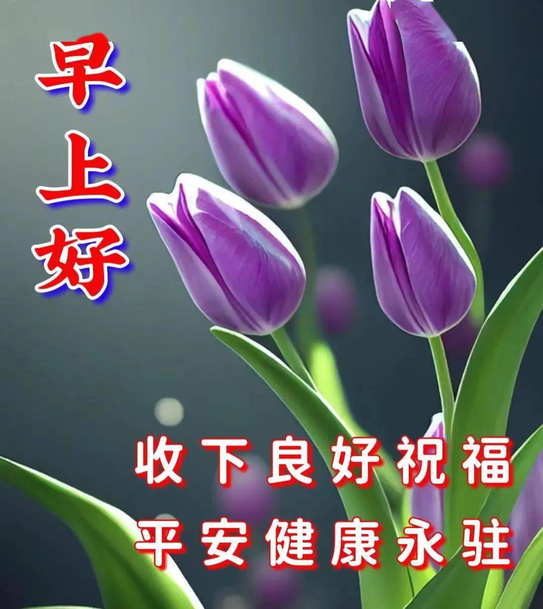 早上好,願我們都平安,健康,快樂,吉祥_祝福_問候_生活