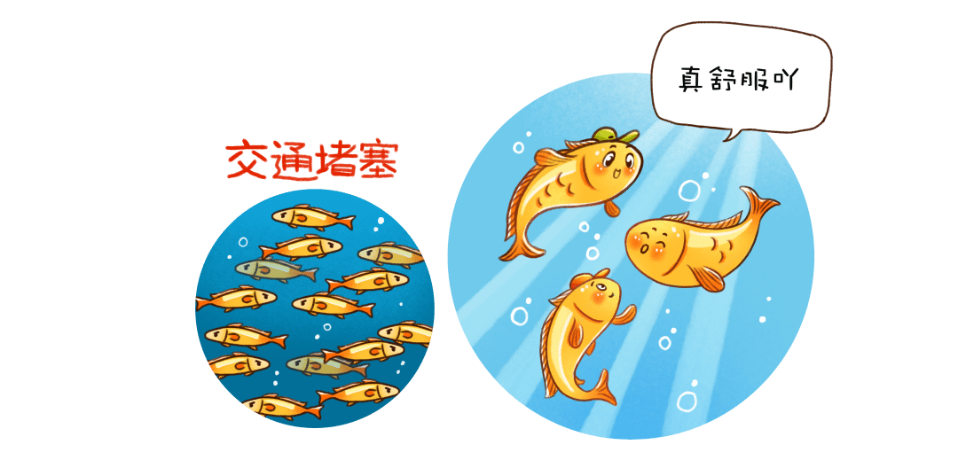 温州大黄鱼的鲜味密码!_养殖_东海海域_美食