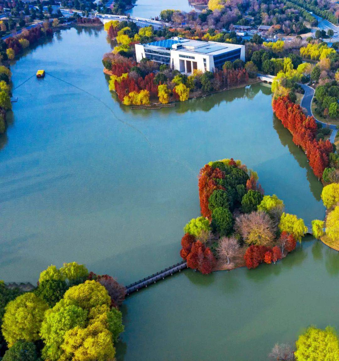 颍上旅游名片:五里湖湿地公园