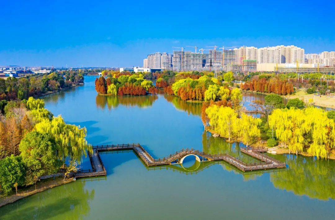 颍上旅游名片:五里湖湿地公园