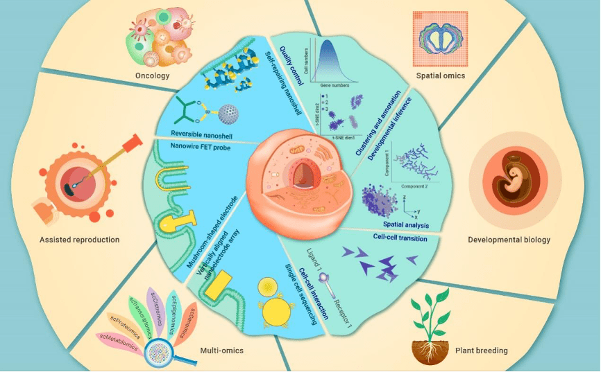 Cell子刊｜曾湘祥团队发布单细胞测序数据工具箱——autoCell_研究_sc_技术