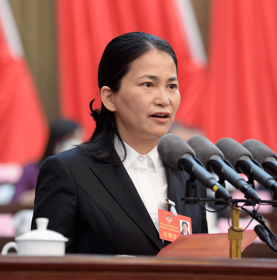 发言人:民建界别 刘胜全力推动新能源汽车产业高质量发展近年来,我省