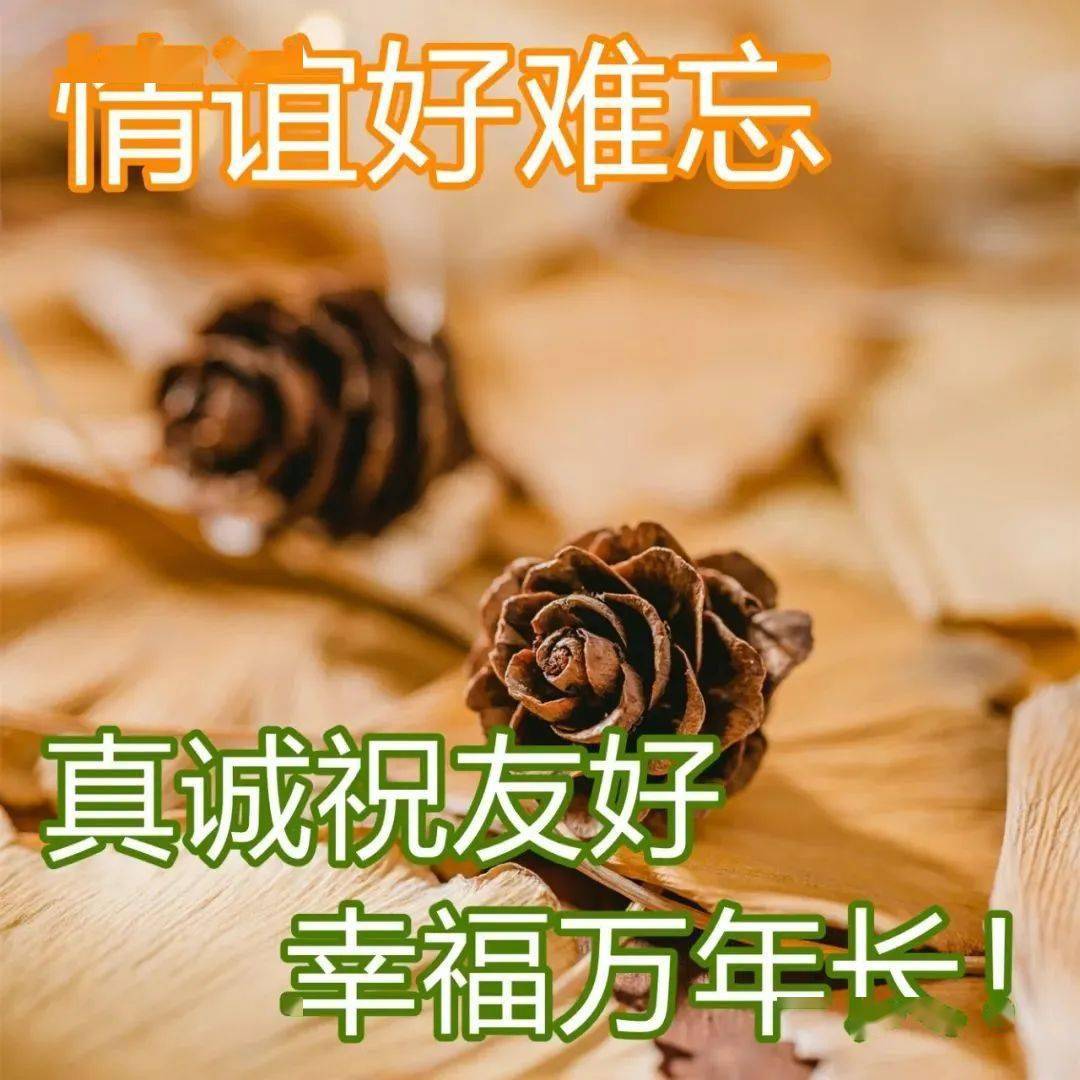 巴结人的图片带字图片图片