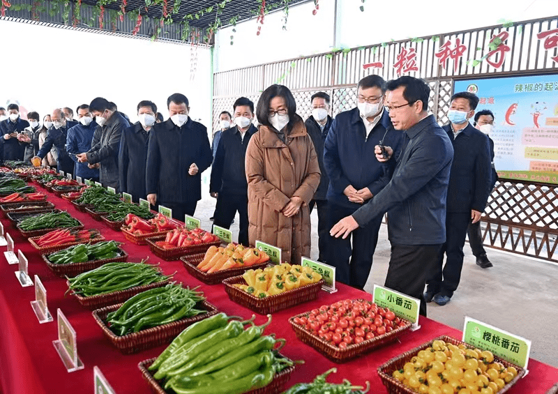 【赣州三农】蔬菜产业种源安全和商业化育种迈出新步伐!赣东南蔬菜种质资源保护与育苗中心建成投入使用_种业