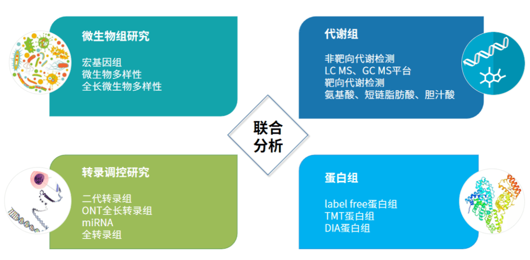 服务升级-百迈客多组学测序服务整体解决方案_手机搜狐网