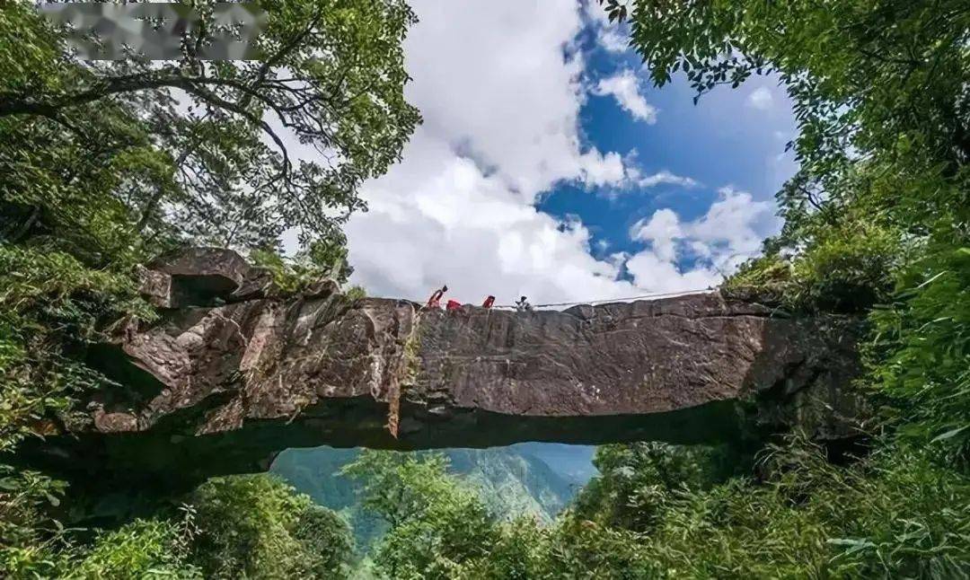 俗话说"九寨沟看水,张家界看山",在这里有3000座石峰,拔地而起,800条