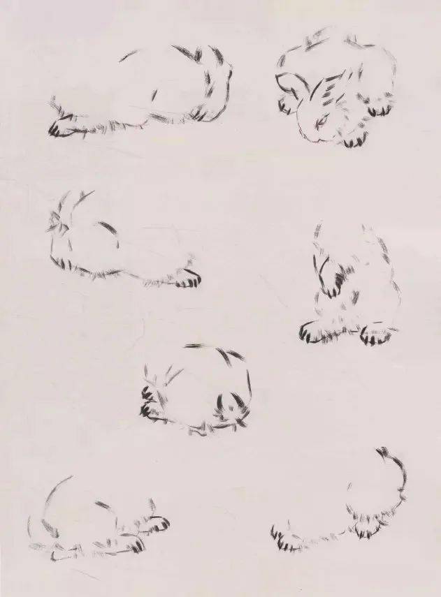 兔年临近,来看国画兔子的技法大全_画法_步骤_眼睛