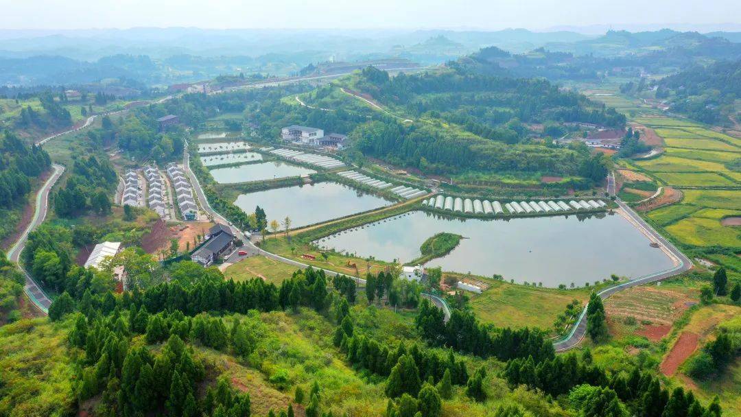 【乡村振兴"镇"在行动】大石镇:红色振兴 魅力大石_蓬溪_四川省_示范