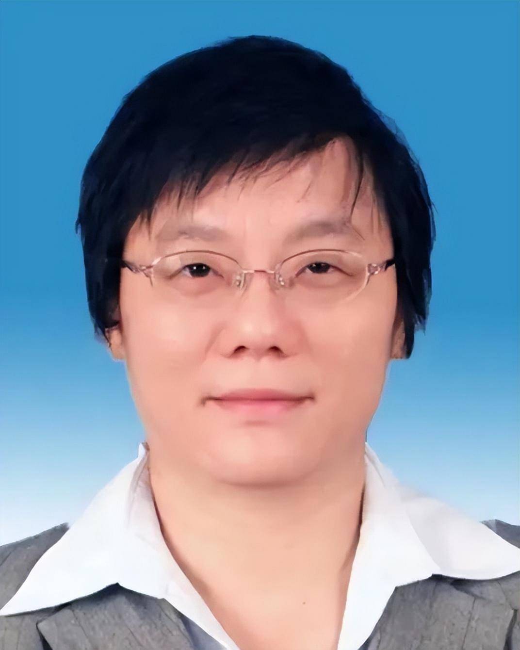 本周6位女副省长上任,"75后"的她曾任联席ceo_海南_学历_会议