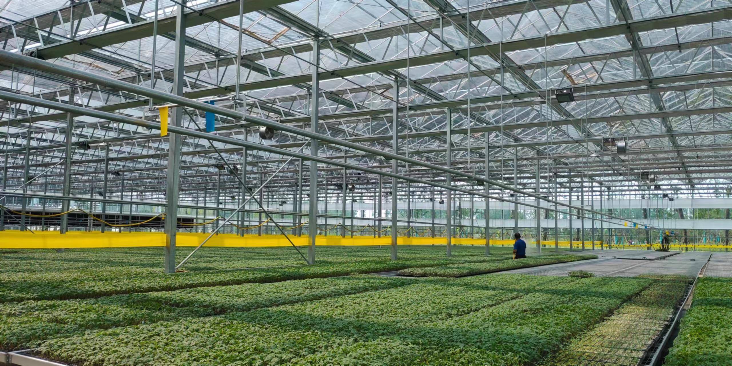 杨新芳认为,聚焦产业化,设施化,标准化,品牌化,高效生态是未来农业的