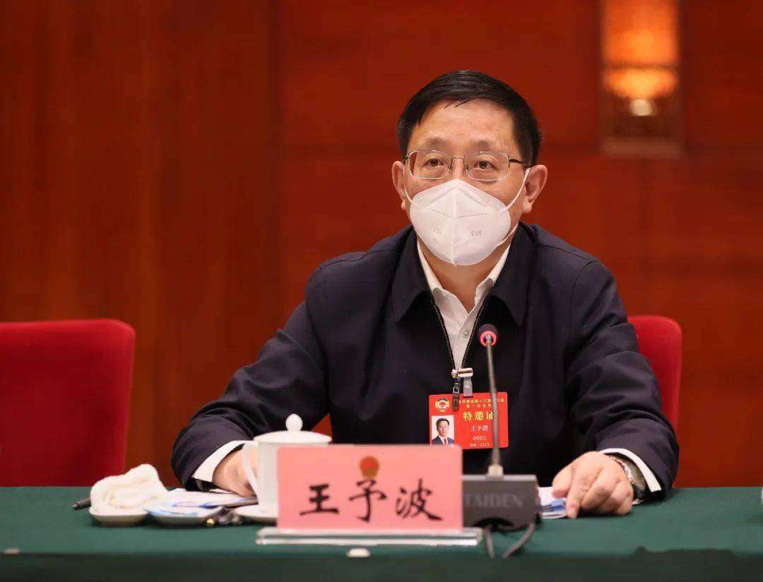 陆平,林文勋,李俊鹏,刘长战,银康,甘烦远,张已戌,王迅,刘和兴,潘雷,郝