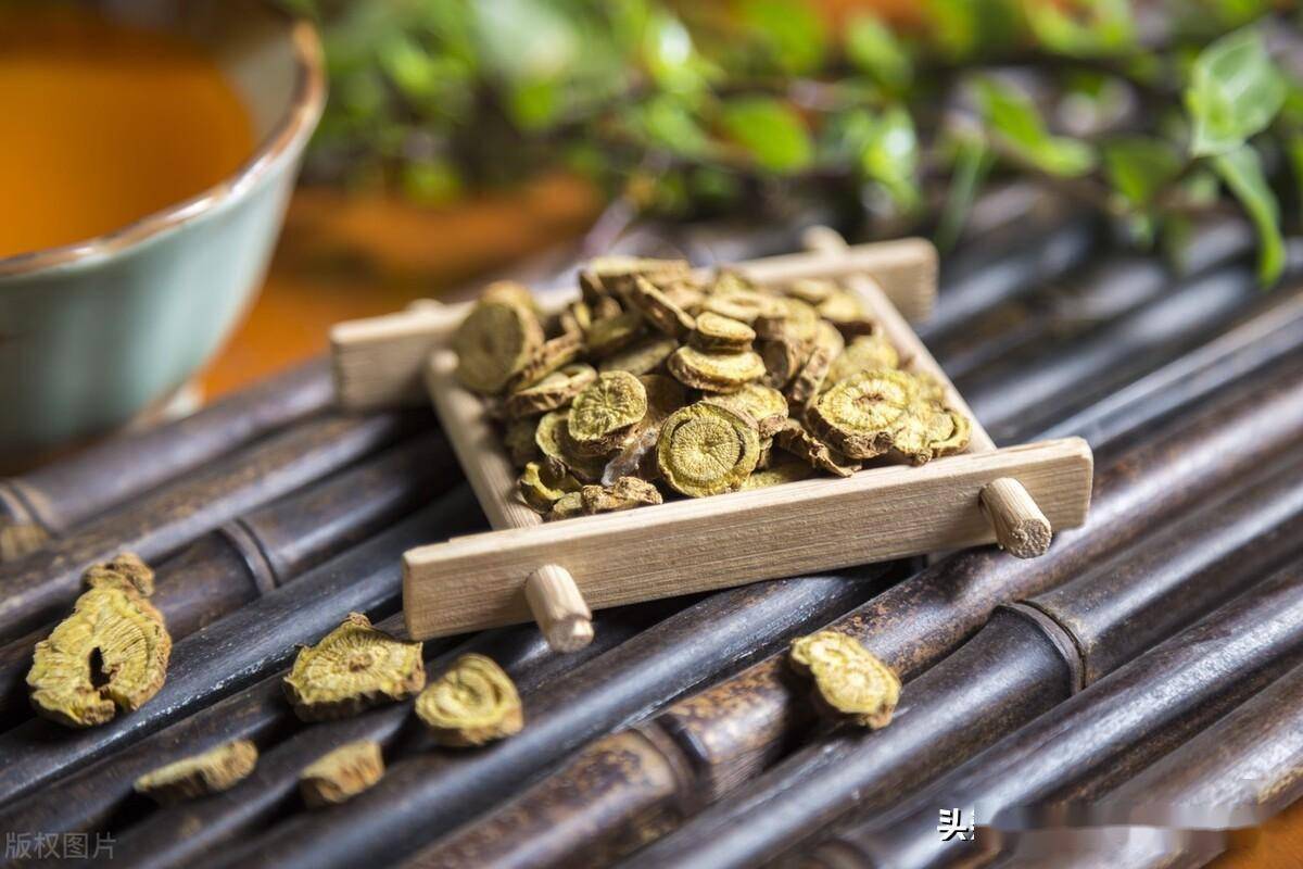 讲一味鱼腥草,痰热喘咳,里急后重,小便涩痛,痈肿疮毒均可选用_范畴