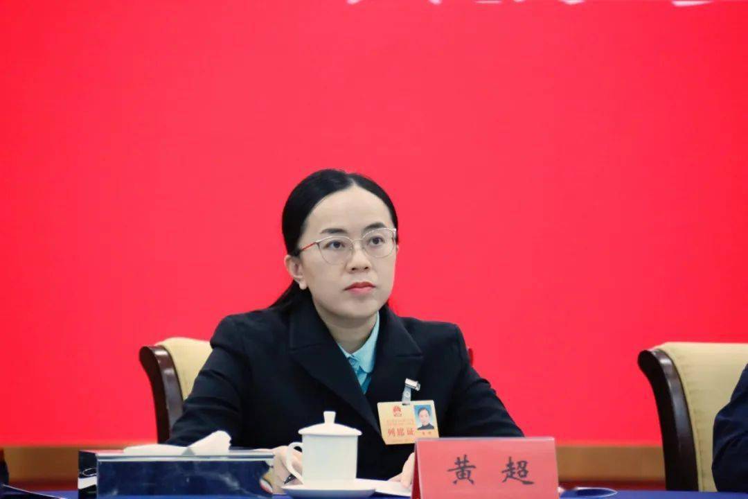 民建广西区委召开人大代表政协委员履职座谈会_黄超_会议_自治区