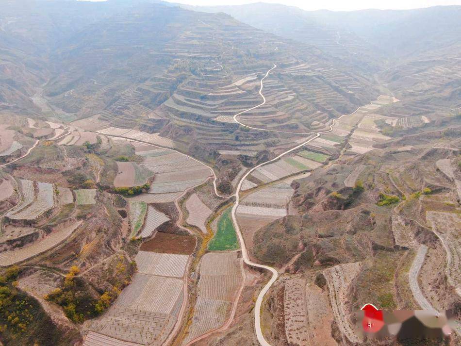 新天水讯近年来,甘谷县安远镇抢抓政策机遇,以巩固拓展脱贫攻坚成果同